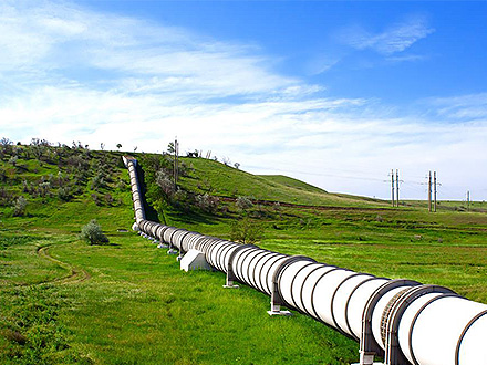 开云体育网址产品中心八